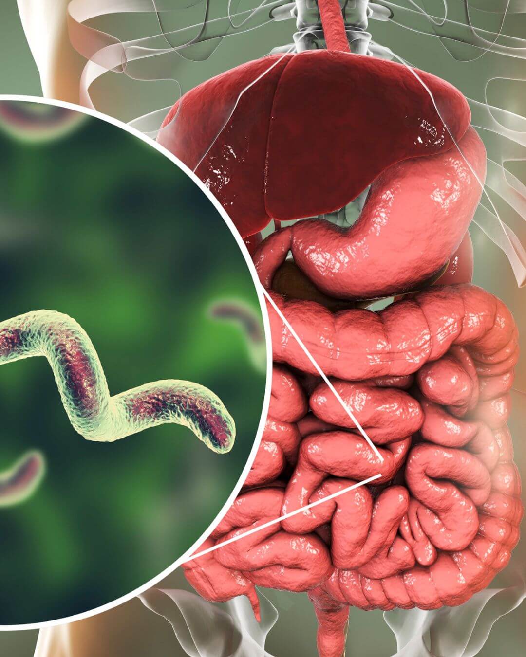 stuhlanalyse individuell